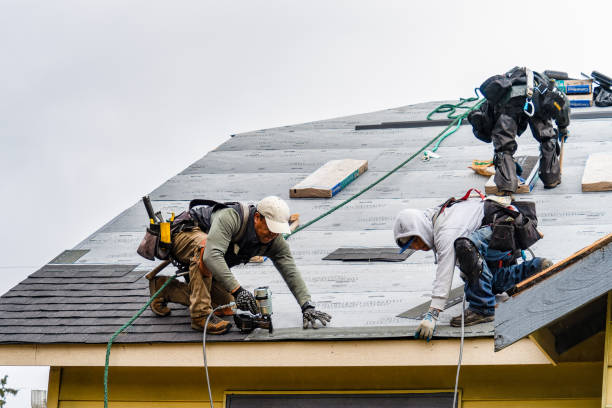 Professional Roof Installation technician working in Ecru, MS